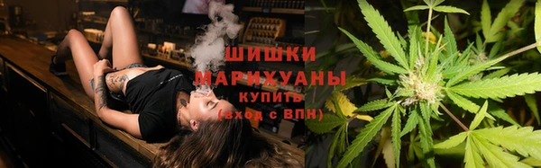 молекула духа Лихославль