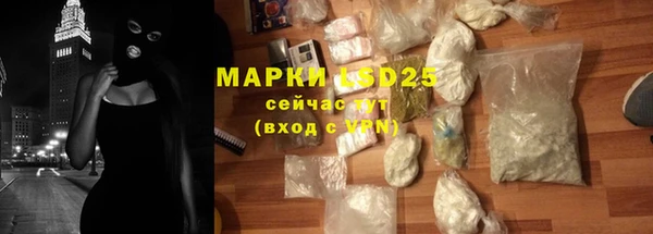 ПСИЛОЦИБИНОВЫЕ ГРИБЫ Ладушкин