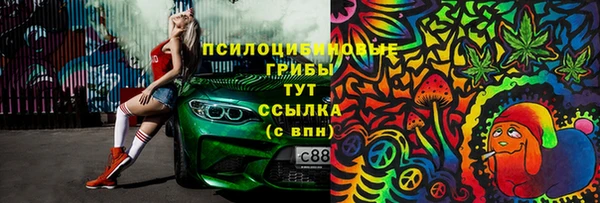 индика Лабытнанги