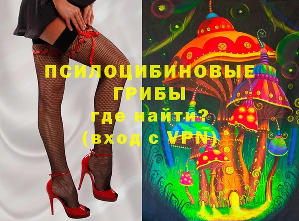 ГАЛЛЮЦИНОГЕННЫЕ ГРИБЫ Лиски