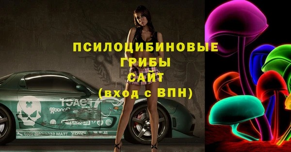 молекула духа Лихославль