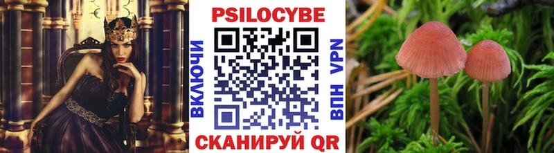 Купить  Полесск  Галлюциногенные грибы прущие грибы 